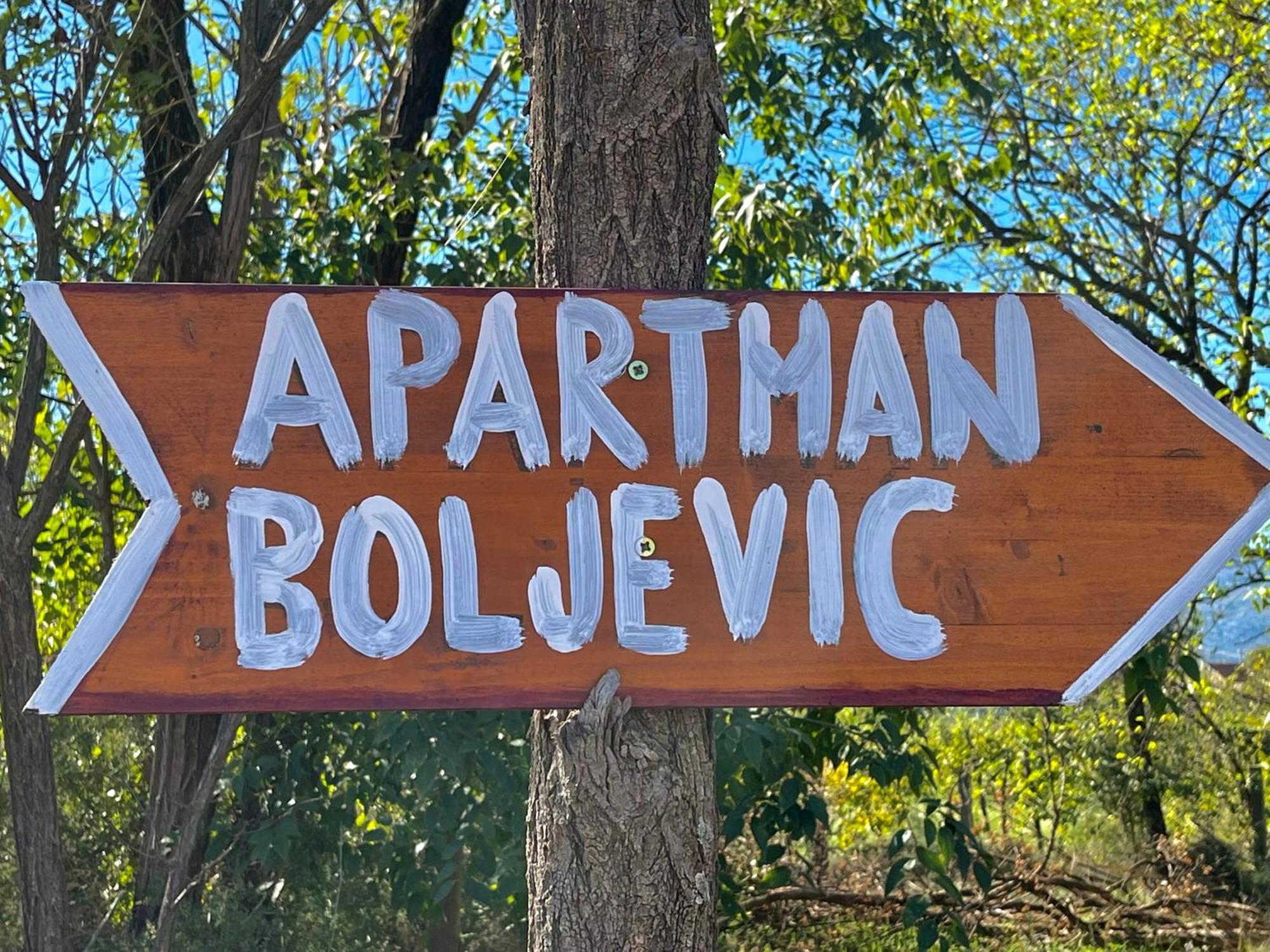 Apartman Boljevic Podgorica Exteriér fotografie